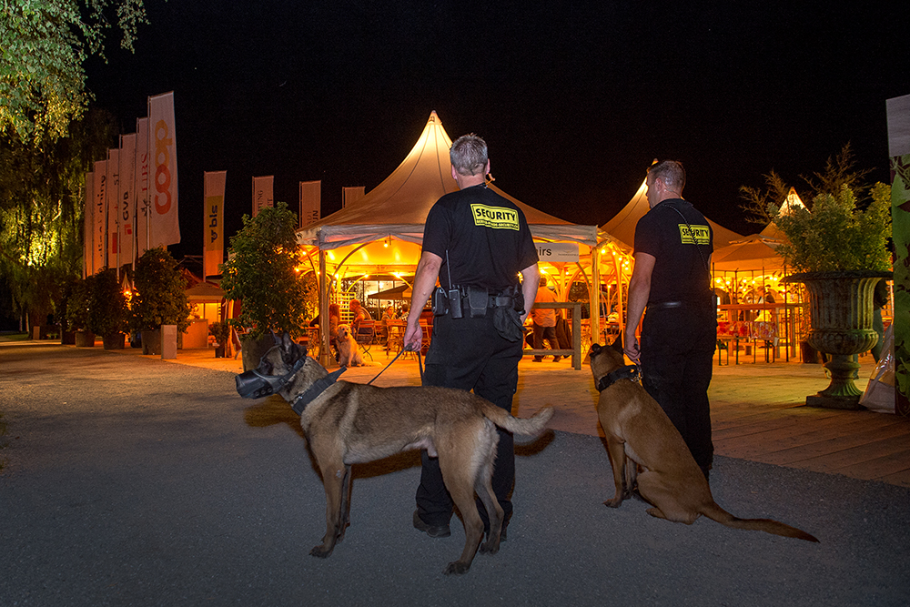 Berner Hunde Security
